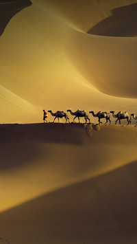 A brief history of the Silk Road 72