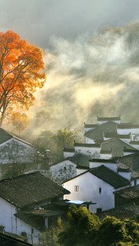 华夏宝藏赏秋地