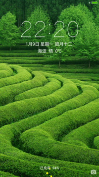 绿色田园 护眼必备