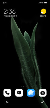 Shadow Leaf