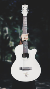 Music (9)