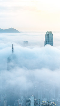 我承认我不曾历经沧桑