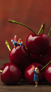 Nutritional differences of cherry cherries