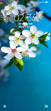 清新护眼樱花