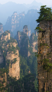 Sandstone pillars zhangjiajie national forest park unesco