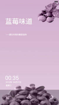 蓝莓味道
