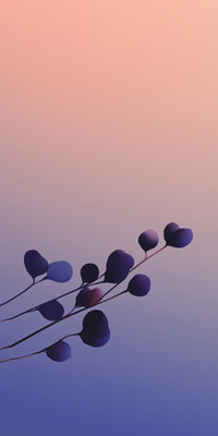 Silhouette4.jpg