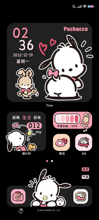 帕恰狗 可爱满分