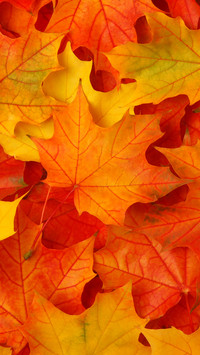 Autumn style
