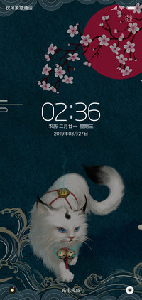 白猫