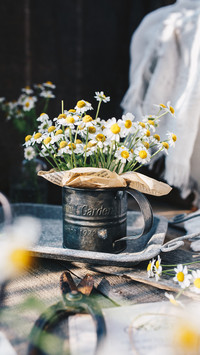 People who love flowers and plants are worth making friends