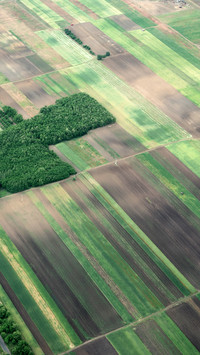 Farmland fields