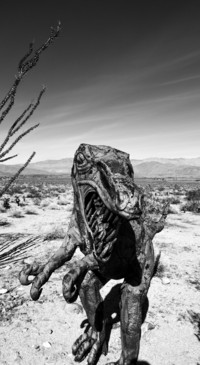 Dinosaur (6)