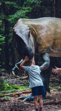 Dinosaur (11)