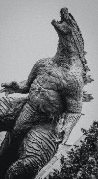 Dinosaur (12)