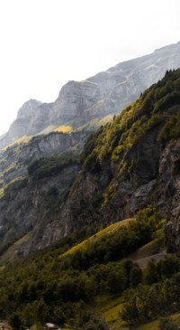 Nature HD - 2020-06-02T123925.233