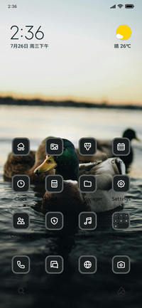 Duck