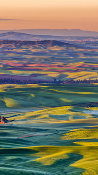 Farmland in Pasco, Washington