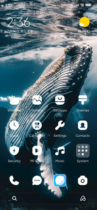Fish leap