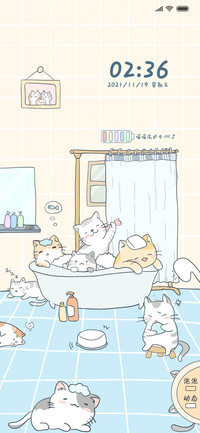 猫咪的浴室