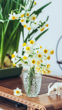 How to arrange flowers in different environments