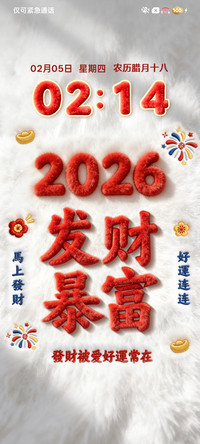毛绒 2026发财暴富