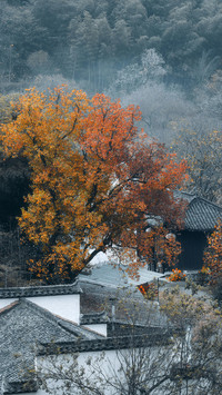 大美宏村