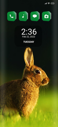 Rabbit To