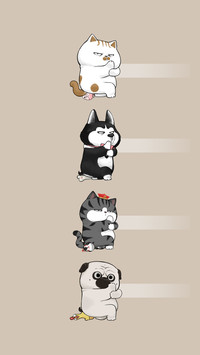 吾皇猫