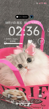 仙女小猫 多壁纸
