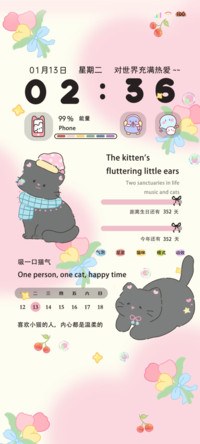 治愈系ins风猫猫