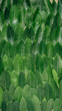 Pattern Play (21)
