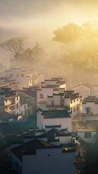 VCG211181900660
