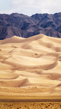 Pure Wind Desert