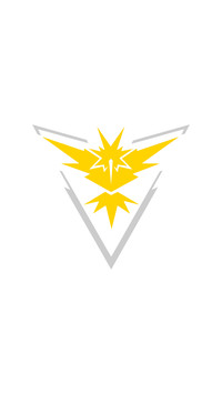 Team instinct white yellow patito and grey