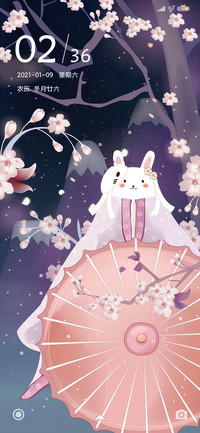 樱花之夜 兔子