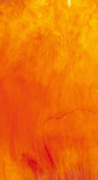 Rich Colors (20)