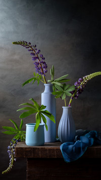 Simplicity in Purple: A Single Feathered Pea Flower