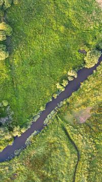 Aerial view of winding rivers in the Dutch wetlands