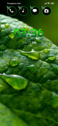 rain leaf
