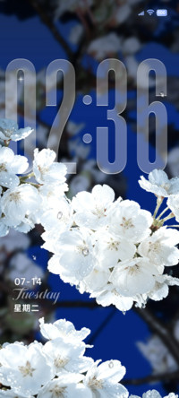 重感 夜樱花
