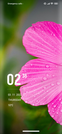 FLower_hope