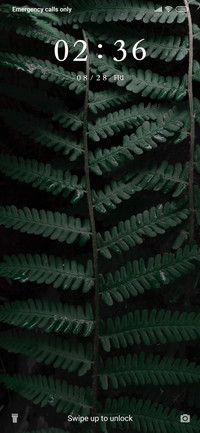 Dark Greenery_3MDS