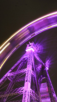 Theme Park (5)