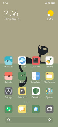 Minimalist cat