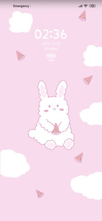 Watermelon rabbit