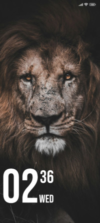 Brown Lion