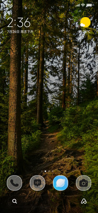 Forest Trail