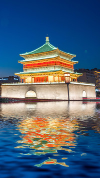 你需要些什么