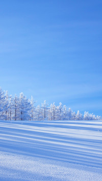 雪白之境